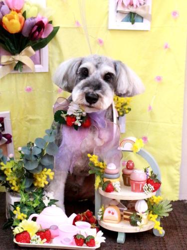 20230302バーツくん